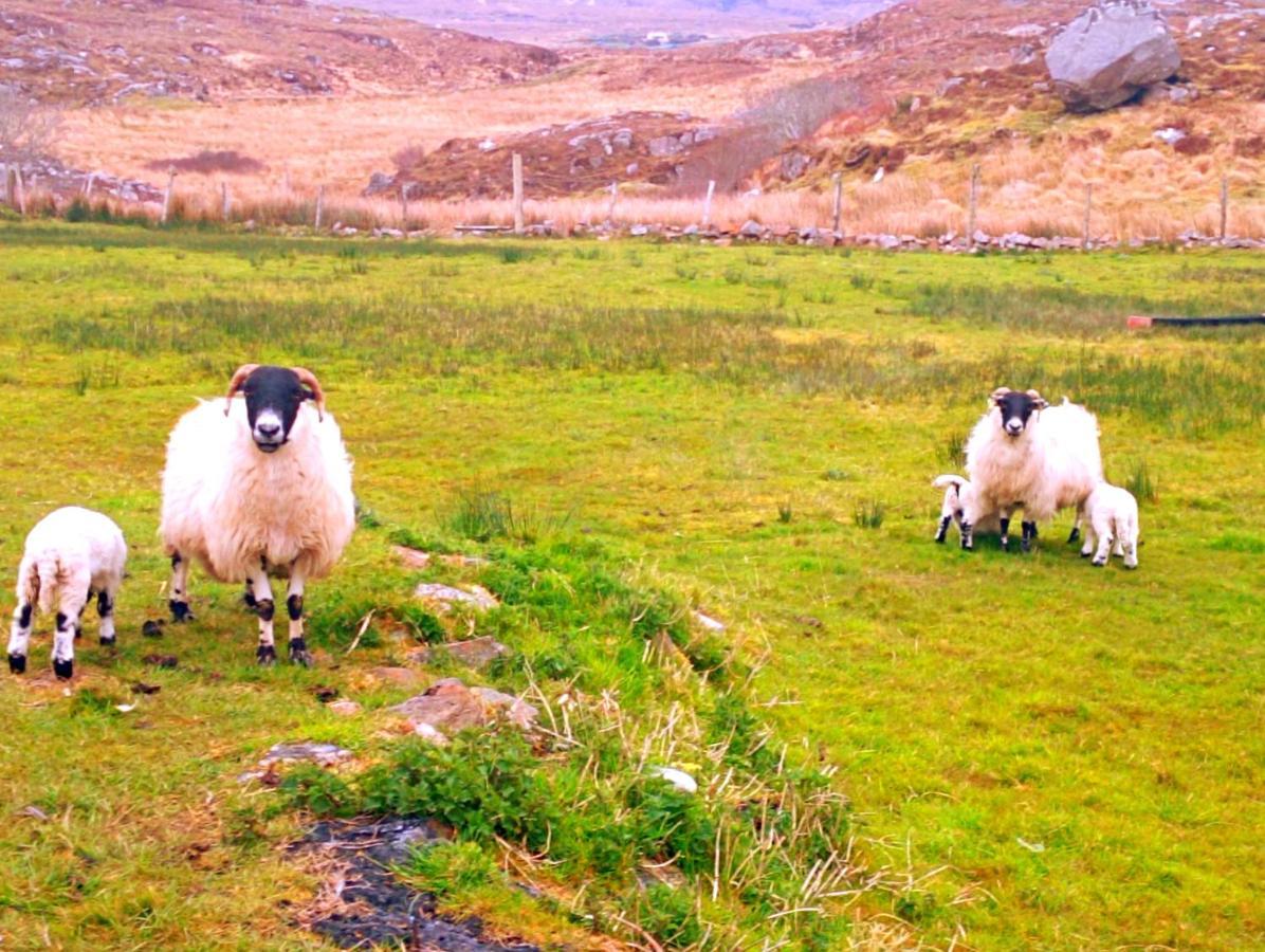 Donegal Cottage Donegal Town Esterno foto