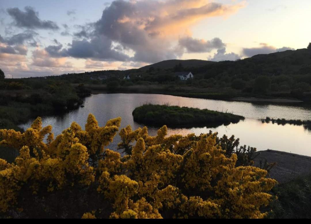 Donegal Cottage Donegal Town Esterno foto