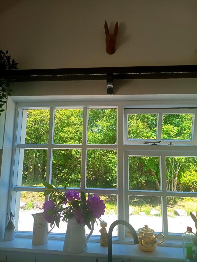 Donegal Cottage Donegal Town Esterno foto